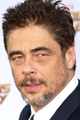 Benicio Del Toro